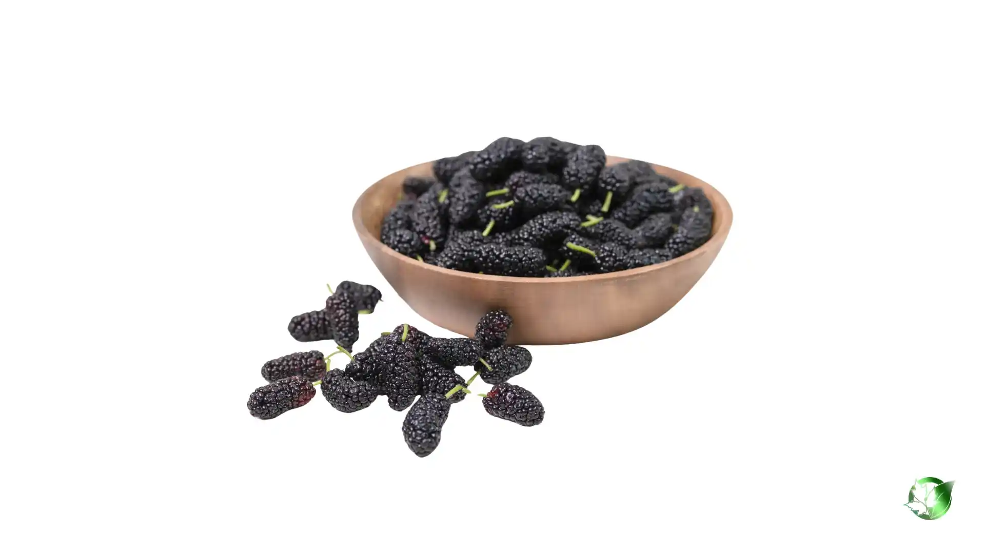 Bulk Dried Mulberries | Suppliers | Wholesale | ParsaFood Global